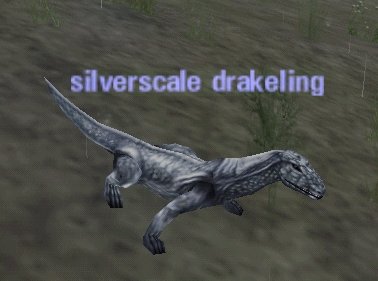 Picture of Silverscale Drakeling